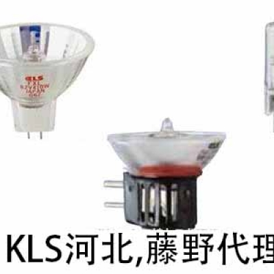 KLS河北 KLS廣州代理 單端燈 JCD100-650C